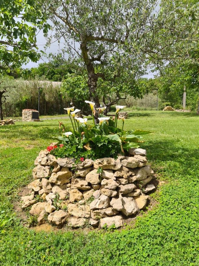 Agriturismo La Casa Dei Ricordi 科莱萨尔韦蒂 外观 照片