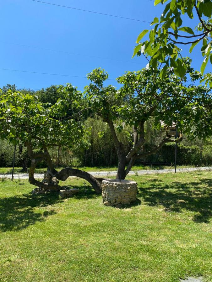 科莱萨尔韦蒂La Casa Dei Ricordi公寓 外观 照片