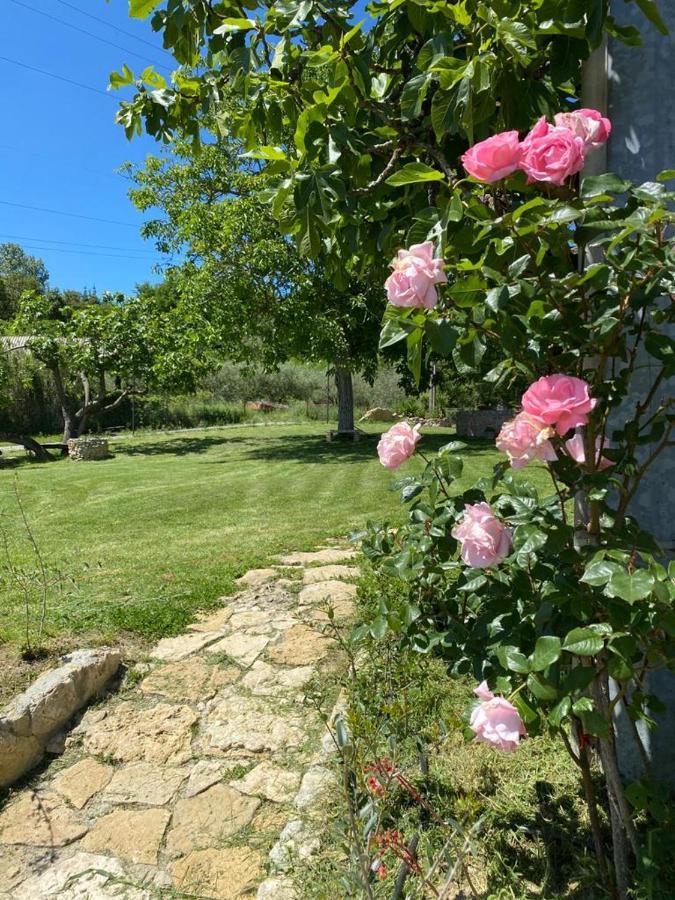 Agriturismo La Casa Dei Ricordi 科莱萨尔韦蒂 外观 照片